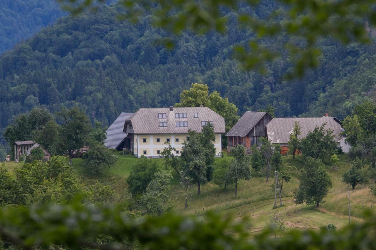 Apartment Krnicar Zgornje Gorje Bagian luar foto