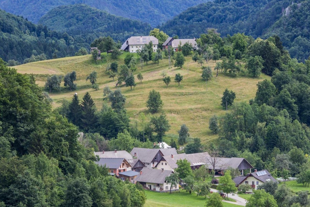 Apartment Krnicar Zgornje Gorje Bagian luar foto