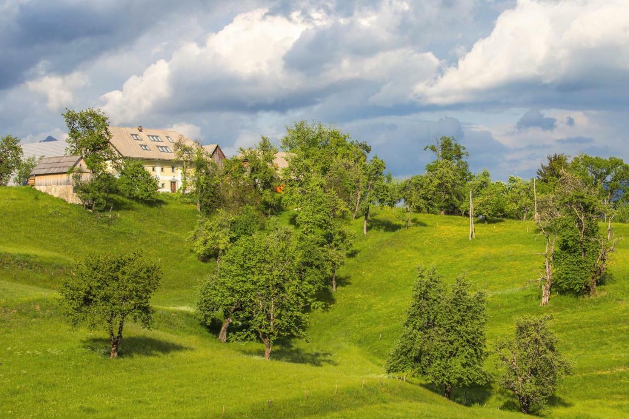 Apartment Krnicar Zgornje Gorje Bagian luar foto