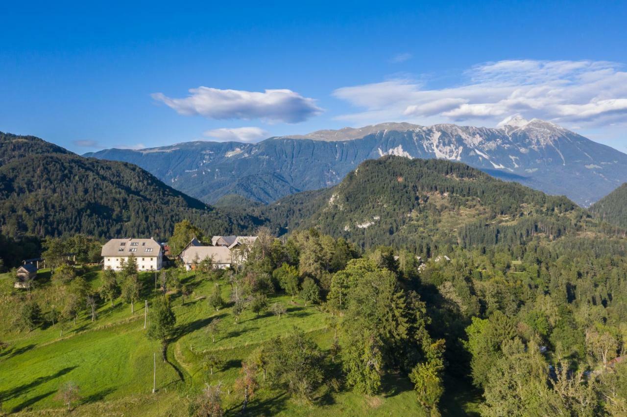 Apartment Krnicar Zgornje Gorje Bagian luar foto