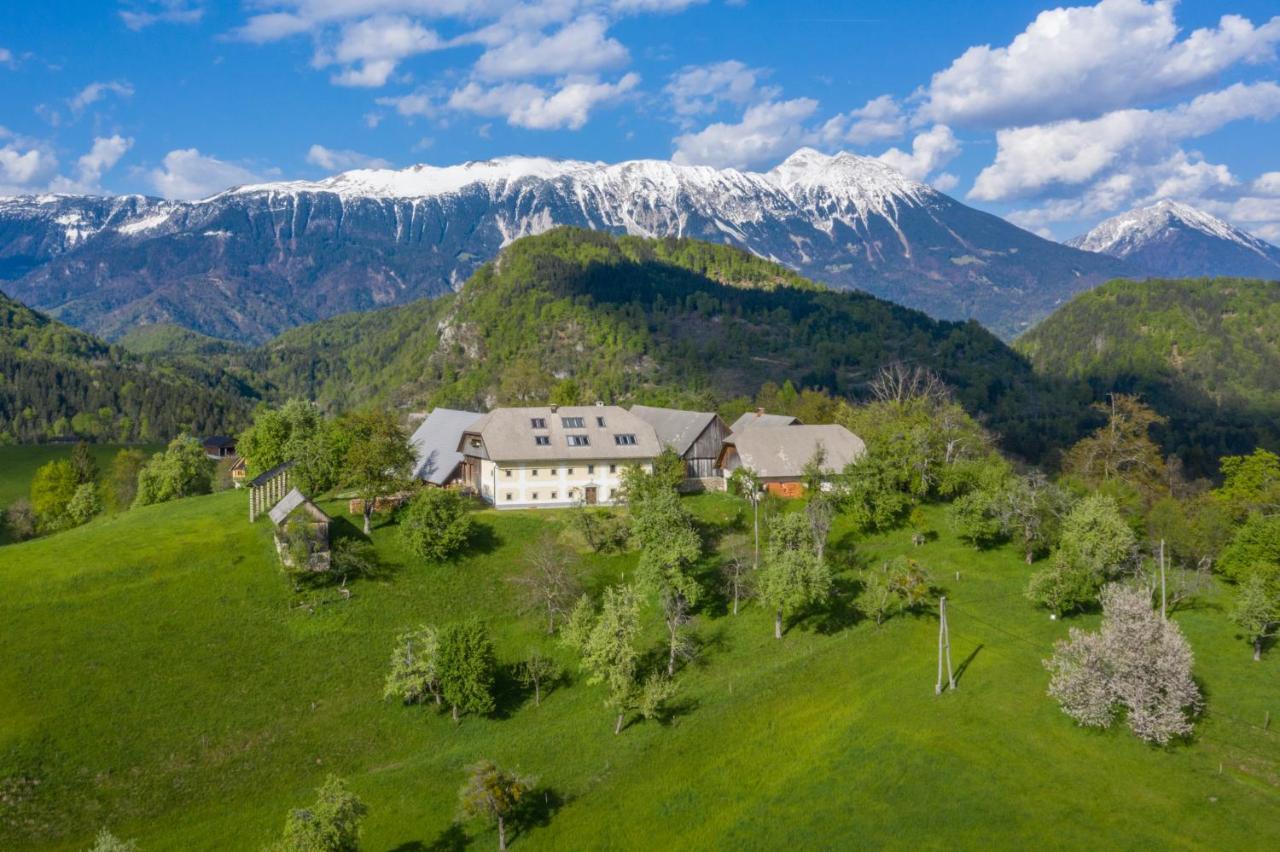 Apartment Krnicar Zgornje Gorje Bagian luar foto