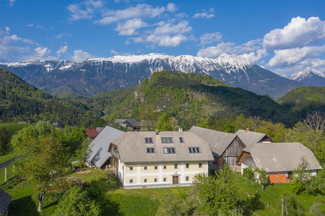 Apartment Krnicar Zgornje Gorje Bagian luar foto